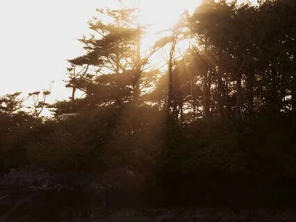 Yoga Nidra For Deep Relaxation & Clarity