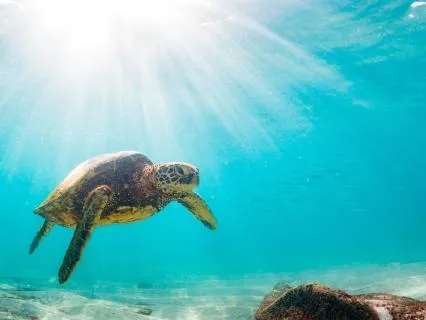 Yoga Nidra For Deep Relaxation | Ocean Visualization