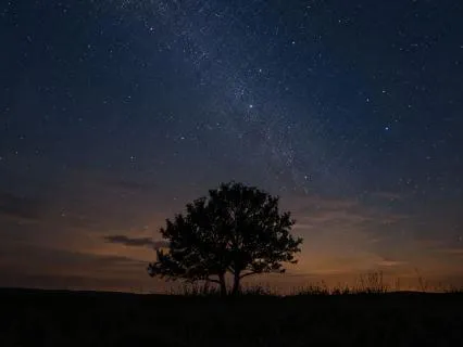 Yoga Nidra For Deep Relaxation & Rest (No Music)