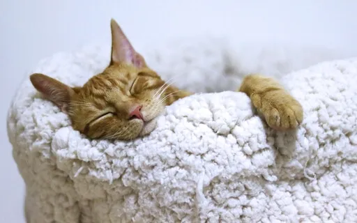 Yoga Nidra For Deep Relaxation, Support & Ease