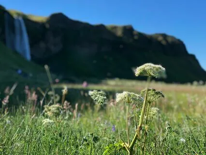 Yoga Nidra For Deep Relaxation