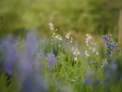 Yoga Nidra For Deep Relaxation