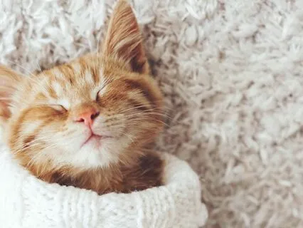 Yoga Nidra For Deep Relaxation