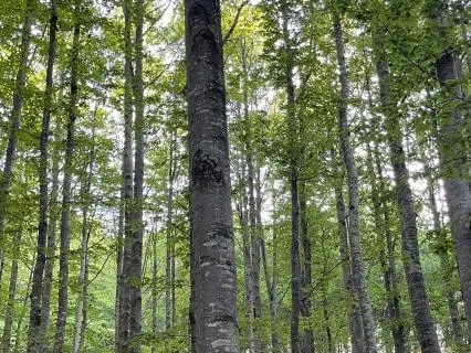 Yoga Nidra For Deep Relaxation