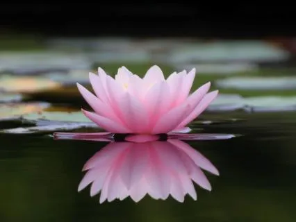 Yoga Nidra For Deep Relaxation