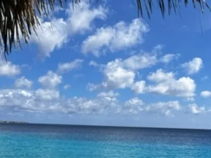 Yoga Nidra | Relaxation | Connection