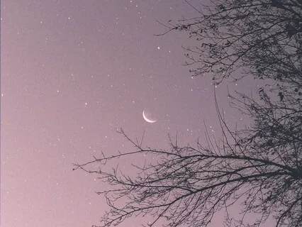 Yoga Nidra For Deep Rest