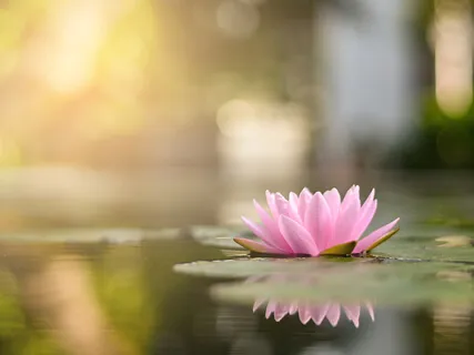 Yoga Nidra For Deep Rest