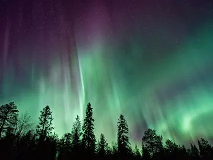 Yoga Nidra For Deep Rest & Akashic Light Healing