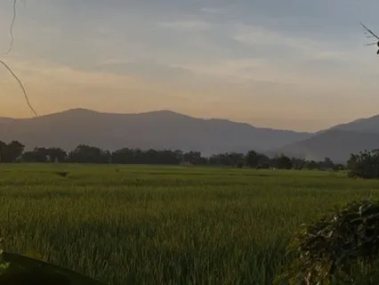 Yoga Nidra For Deep Rest And Nervous System Reset