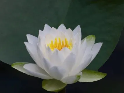 Yoga Nidra For Deep Rest And Patience