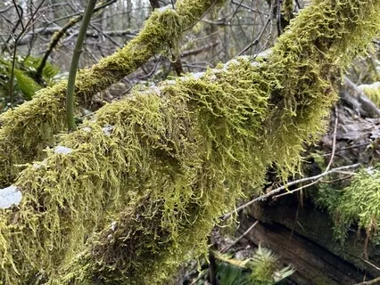 Yoga Nidra For Deep Rest And Stress Relief