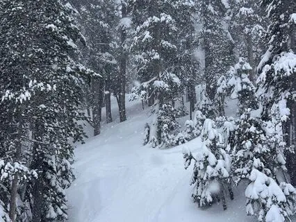 Yoga Nidra For Deep Rest (LIVE): Held By Earth