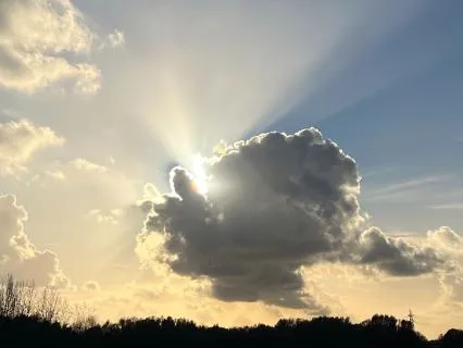 Yoga Nidra For Deep Rest & Renewal