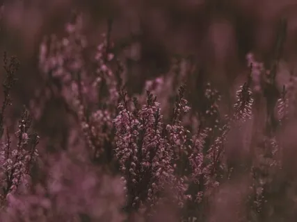 Yoga Nidra For Deep Rest