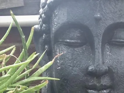 Yoga Nidra For Deep Rest