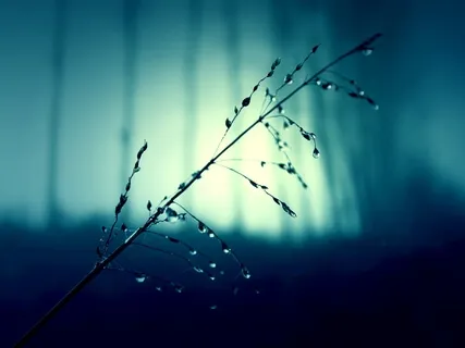 Yoga Nidra For Deep, Restful Sleep