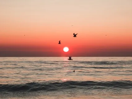 Yoga Nidra For Deep Restorative Rest