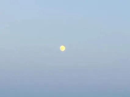 Yoga Nidra For Deep Sleep + 8 Hour Brown Noise