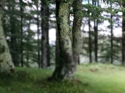 Yoga Nidra For Deep Sleep And Connection