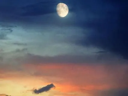 Yoga Nidra For Deep Sleep & True Rest | 8 Hours