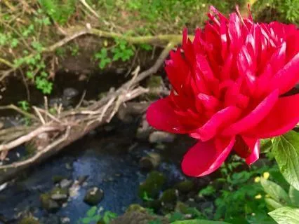 Yoga Nidra For Deep Sleep