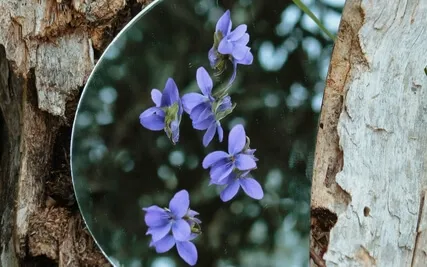 Yoga Nidra For Early Spring