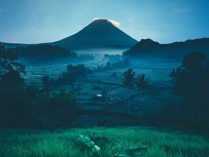 Yoga Nidra for Elevation