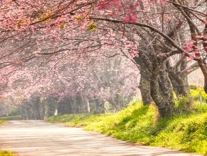 Yoga Nidra For Embracing Change | Let Go & Grow