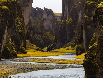 Yoga Nidra For Embracing Life's Transitions | Flow With Ease