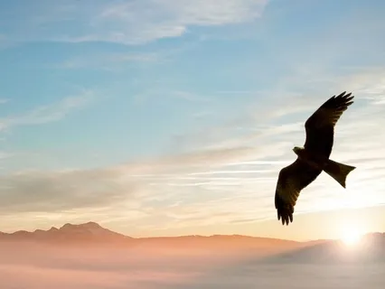 Yoga Nidra For Emotional & Energetic Lightness