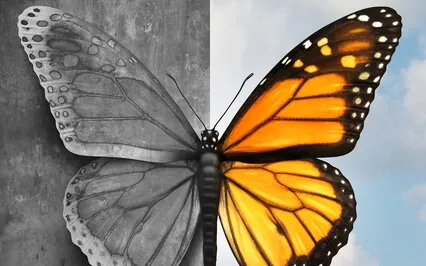 Yoga Nidra For Emotional Security