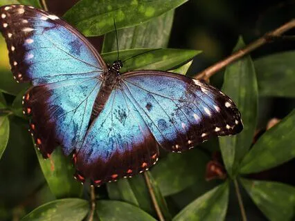 Yoga Nidra For Energy Balancing