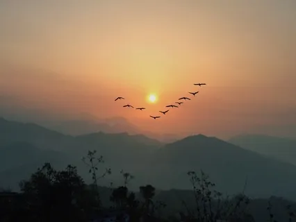 Yoga Nidra For Falling Asleep