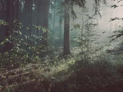 Yoga Nidra For Financial Stress & Safety