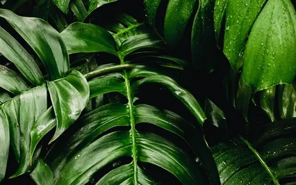 Yoga Nidra For Full Body Relaxation