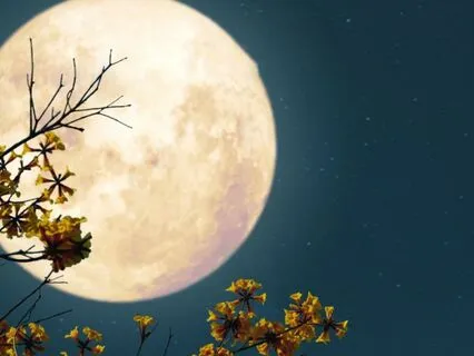 Yoga Nidra For Full Moon Recovery