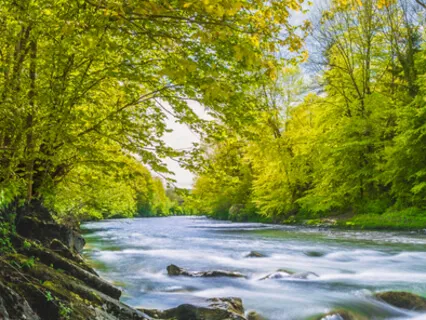 Yoga Nidra For Gentle Reset