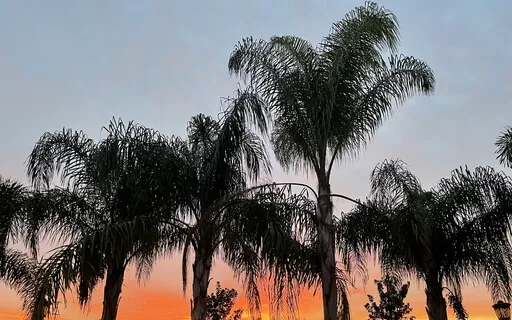 Yoga Nidra For Gratitude & Ease