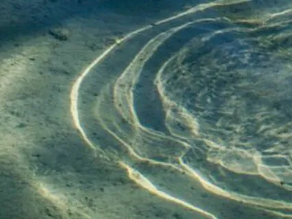 Yoga Nidra For Grief