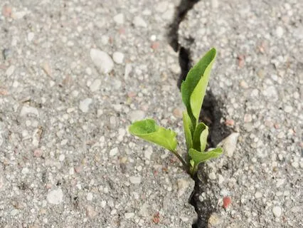 Yoga Nidra For Grief