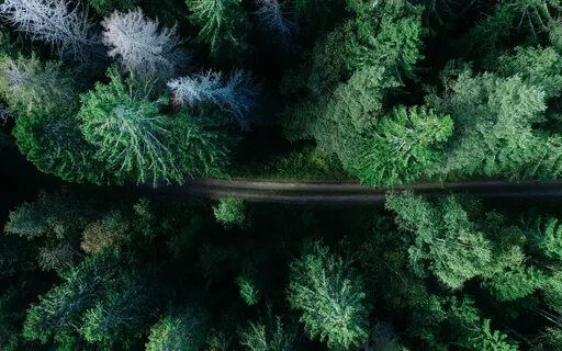 Yoga Nidra For Grounding