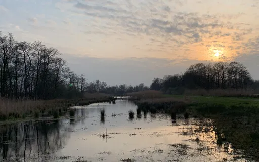 Yoga Nidra For Grounding & Rest (Live Recording, 28.03) 