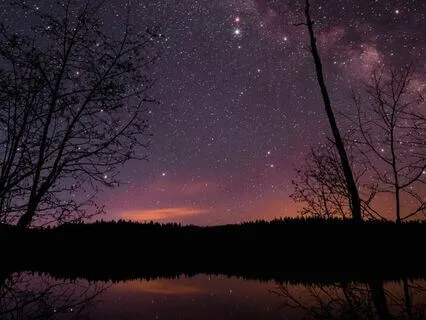 Yoga Nidra For Grounding, Growth & Abundance