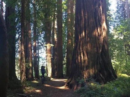 Yoga Nidra For Grounding