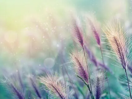 Yoga Nidra For Healing + Pain Relief (With Pink Noise)