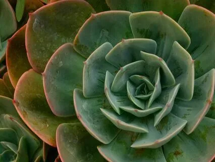 Yoga Nidra For Healing The Heart Space