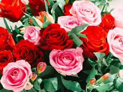 Yoga Nidra For Heart Healing After A Breakup