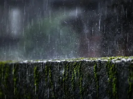 Yoga Nidra for Hibernating