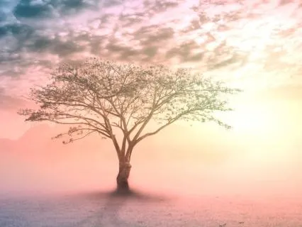 Yoga Nidra For Highly Sensitive Nervous Systems